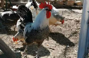 Chez Baptiste et Laura - Foto 14