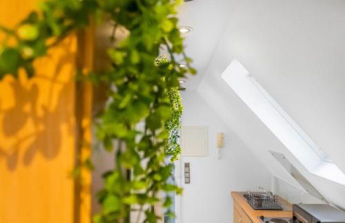 Gesamte Unterkunft - Büro - Küche - Netflix - Foto 12