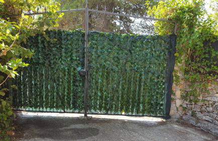 Casa vacanze Villa Tiziana Chalet di campagna - Foto 3