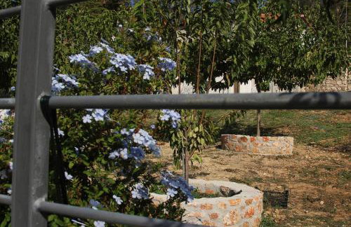 Vagelis 2 Nemea apartments - Foto 45