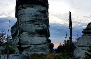 Traumblick Bayerischer Wald, Pool & Sauna, Getränke, Klimaanlage - Foto 60