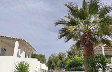 Olive Grove Soulis Family Estate - Foto 21