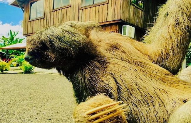 Cabañas Litos - Foto 52