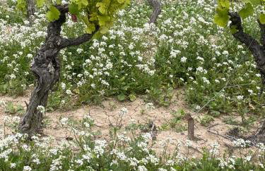 13 Rue du Tour d'Enceinte - Foto 23