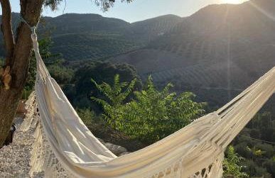 Vista Las Colinas - Foto 48