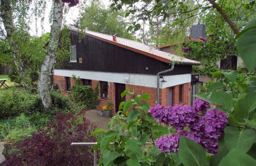 Ferienwohnung am Dümmer See - Foto 28