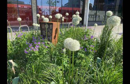 Contemporary City Centre 3 bedroom apartment - Foto 6