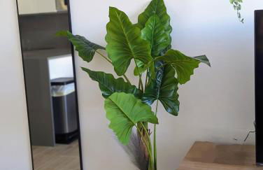 Poolside 2BR apartment Villamartin - Foto 19