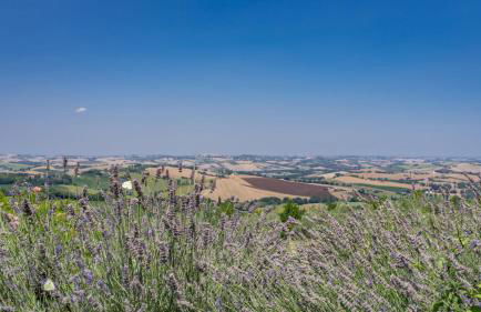 An-f453-cbgn2at - Casale Verdicchio - Foto 91