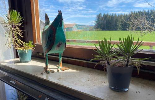 Ferienhof Steingaden - Foto 23