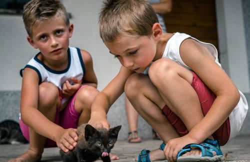 Ferienparadies Hugenhof - Foto 29