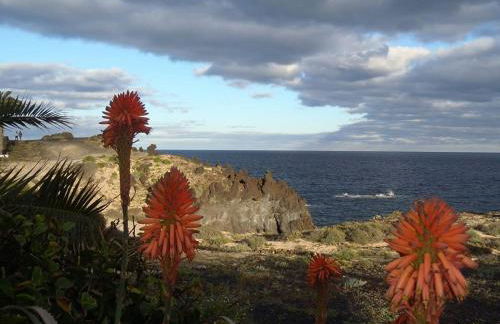 Paz del Mar - Foto 4