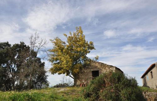 Quinta da Encavalada - Foto 6