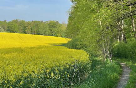 NEU Feinzeit Chalet mit privater Sauna - Foto 50
