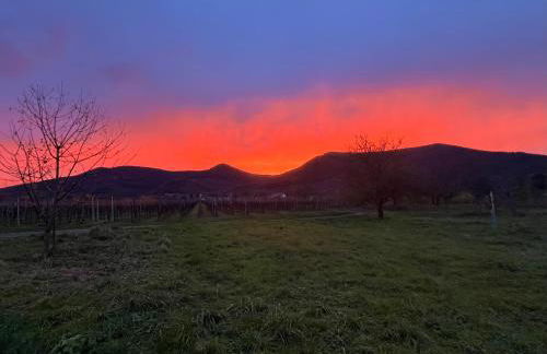 Appartement duplex chez Sandra - Photo 15