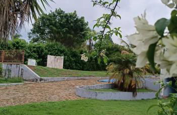 Sítio flor do campo 7L - Foto 3