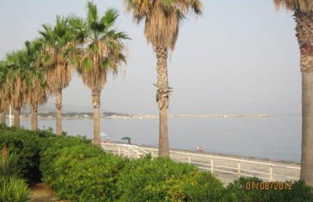 Ambra di mare - Foto 36