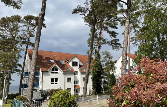 Blaumuschel (LUB118) - Foto 7