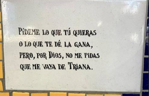 Vive Triana - Foto 25