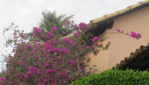 Casa Pontal do Atalaia - Photo 4