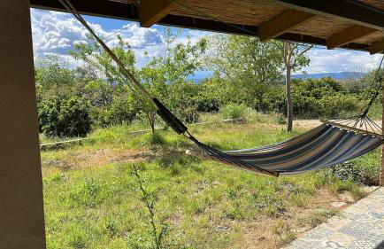 Hort de les Oronetes - Foto 13