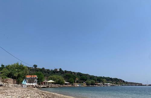 Seafront Apartment - Photo 39