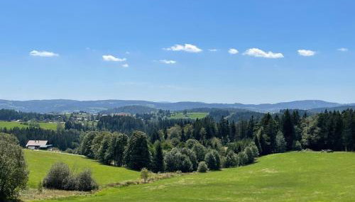Große Ferienwohnung Hundertwasser am Dreisessel in Altreichenau - Foto 5