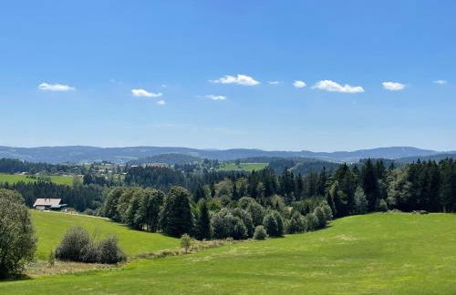 Große Ferienwohnung Hundertwasser am Dreisessel in Altreichenau - Foto 5