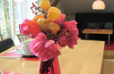 Ferienwohnungen Schönbachtal - Foto 20