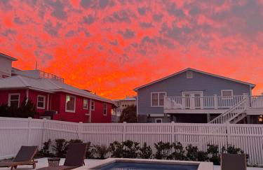 Swanky Seahorse - Foto 63