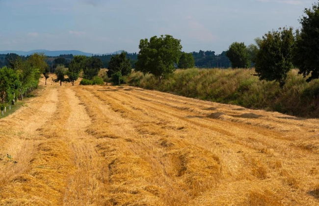 Poolside Vacation Home, Foiano - Foto 24
