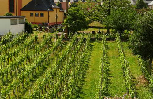 Luiza Fewo - Foto 50