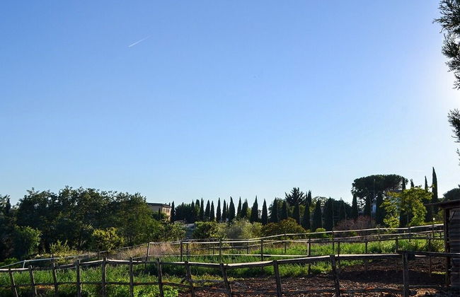 Ars Naturae Biologic Farm - Foto 59