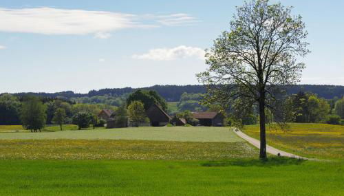 Ferienwohnung Hof Zürnen - Foto 2