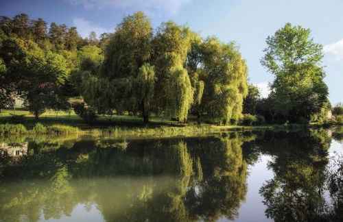 Comtesse de Dordogne - Photo 26