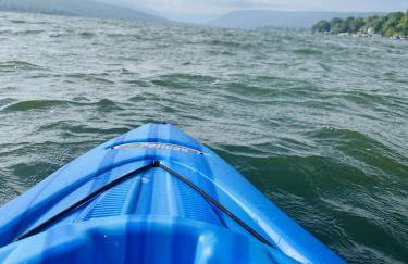 4 Bedroom 2 Bathroom Lake Heaven with 50ft lakefront on Honeoye lake - Foto 37