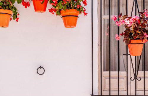 Casa del Patio - Boutique Apartments - Photo 51