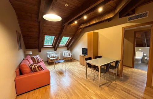 Aparthotel Siente Boí & Spa - Photo 82