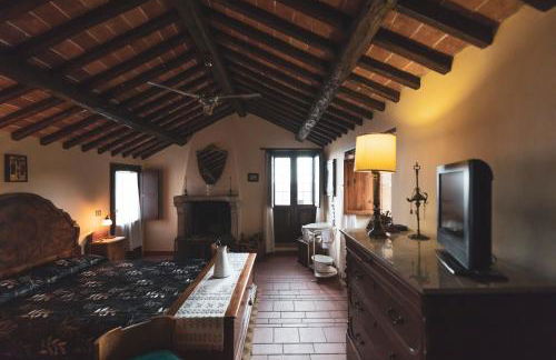 Domus Bononiae - Foto 12