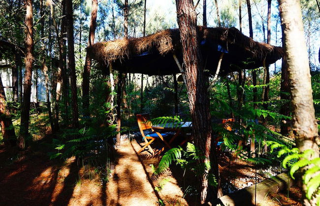 Les Landines - Foto 36