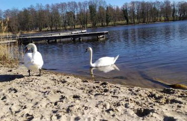 Szary domek nad jeziorem SEA & LAKE - Photo 9