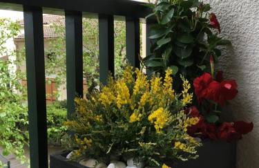 Cosy Lagune - Photo 36