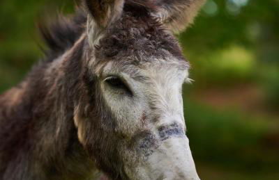 Épicos House, Your home away from home. - Photo 23