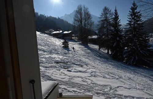 Les bouquetins - Foto 46