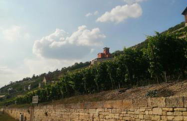 Weinberghaus - Wohnen im Weinberg in der Toskana des Nordens - Foto 28