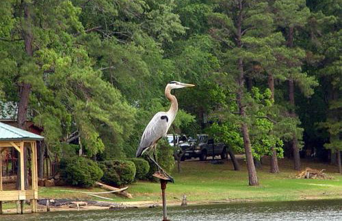 Lake Palestine Family Getaway with Waterfront Deck - Foto 22