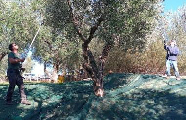 Deliziosa casa sull albero a 30 minuti da Roma - Foto 34