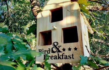 Casa nel bosco il Grottone - Foto 63