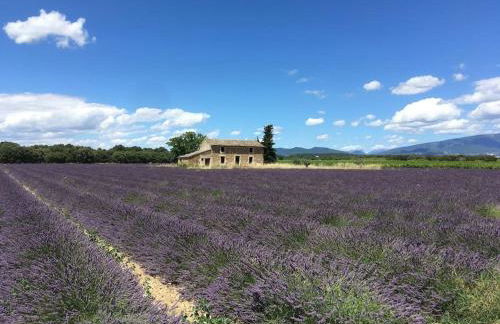 appartement. 2 à 4 pers. lit Queen-size. Au calme. - Foto 19