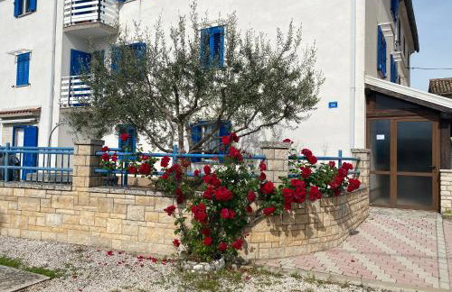 Olive Tree Apartments - Photo 2